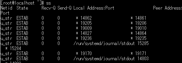 linuxでss-aコマンドでポート調査した結果